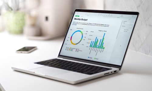 A gray laptop with a monthly budged report with graphs